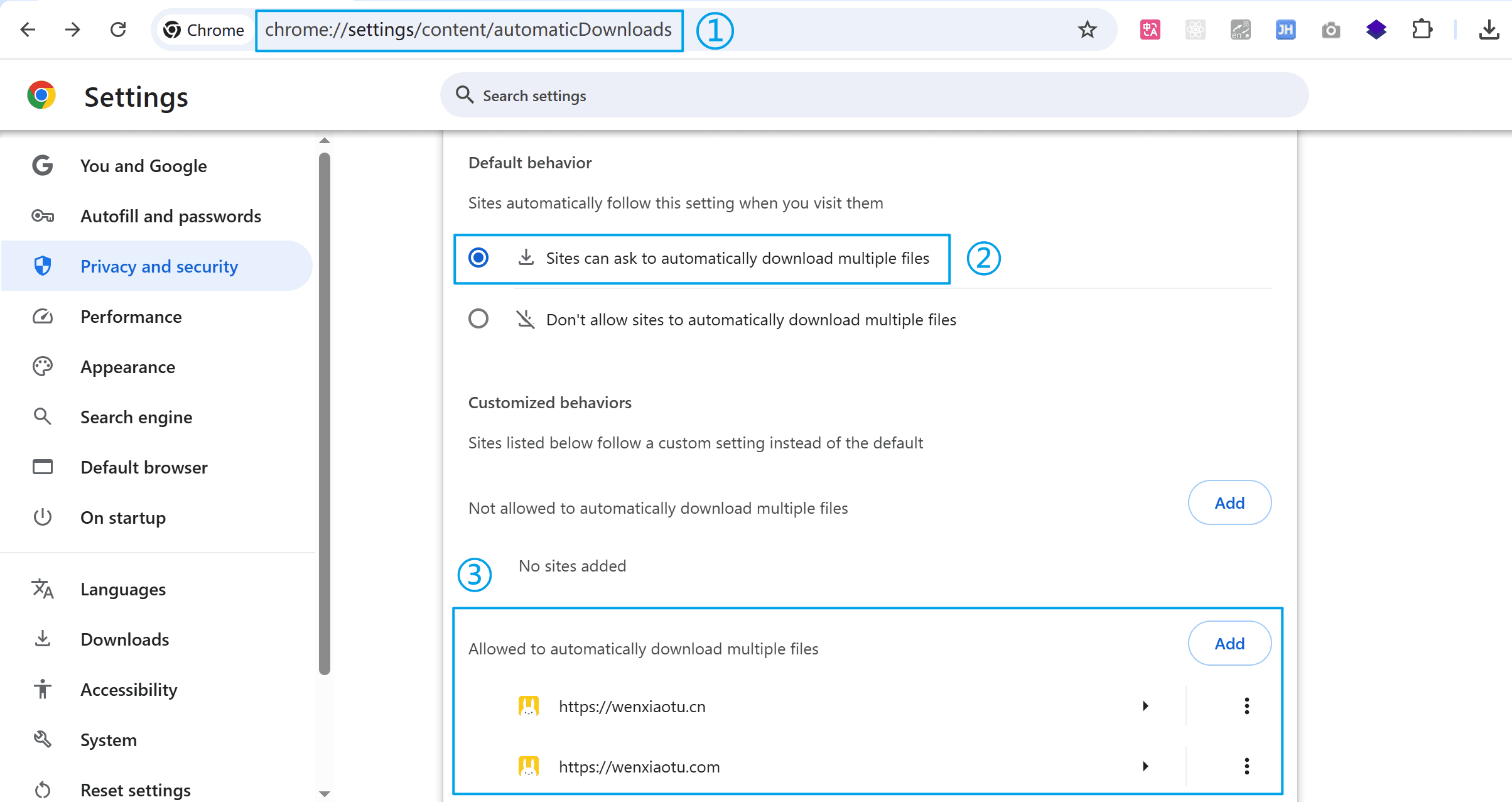 Chrome浏览器设置英文版